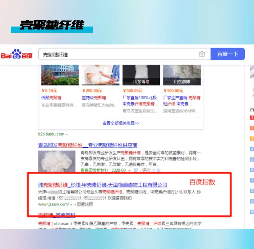 天津中英文网站搭建介绍